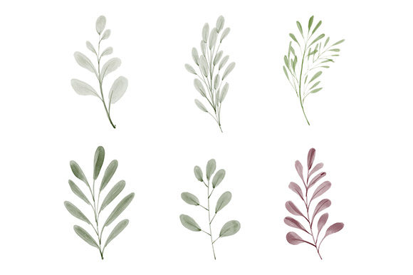 Download Watercolor Leaf Greenery Element Set - Color Collection