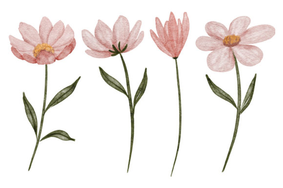 Download Watercolor Petal Cosmos Flower Element - Color Collection
